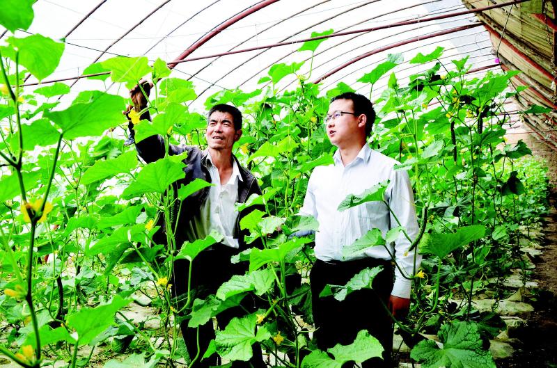 1465264288107639.jpg 1.jpg