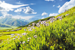 1460596825680109.jpg 1.jpg