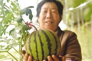 res01_attpic_brief (1).jpg