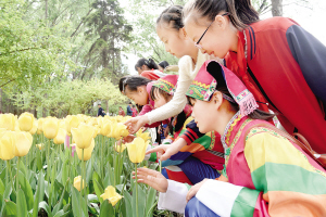 1463617969917890.jpg res01_attpic_brief (1).jpg