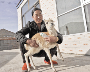 1465349092659820.jpg res09_attpic_brief.jpg