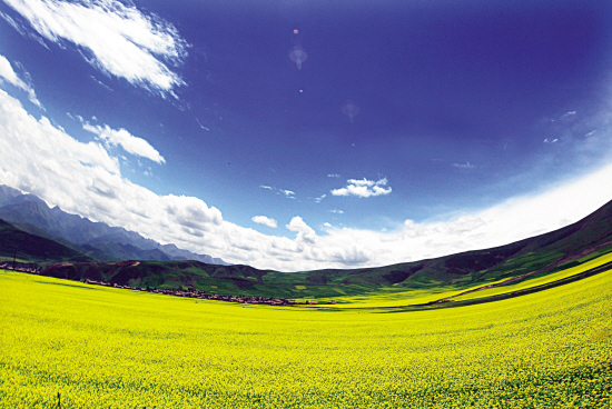 1467249992399076.jpg res03_attpic_brief (1).jpg