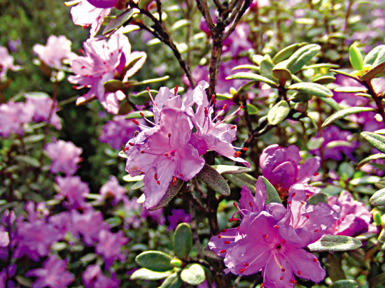 1467250213822967.jpg res09_attpic_brief (1).jpg