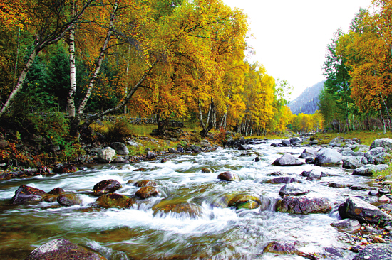 1467250234693499.jpg res07_attpic_brief.jpg