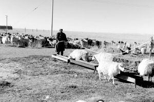 1467251069318590.jpg res03_attpic_brief (3).jpg