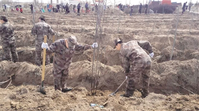 1492130536301136.jpg res01_attpic_brief.jpg