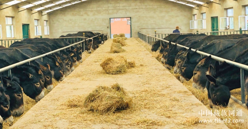 1533697096144098.jpg 微信圖片_20180808105046.jpg