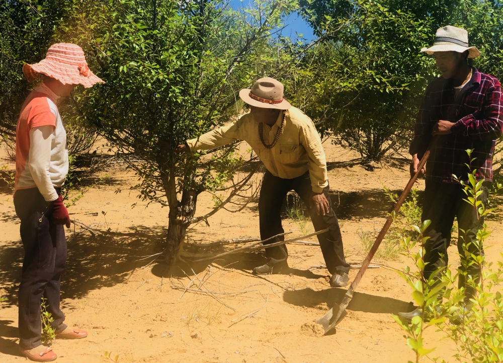 1533951961147685.jpg 你好韓國廣告.jpg