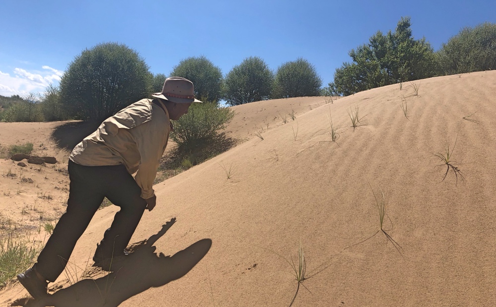 1533951992250790.jpg 你好.jpg