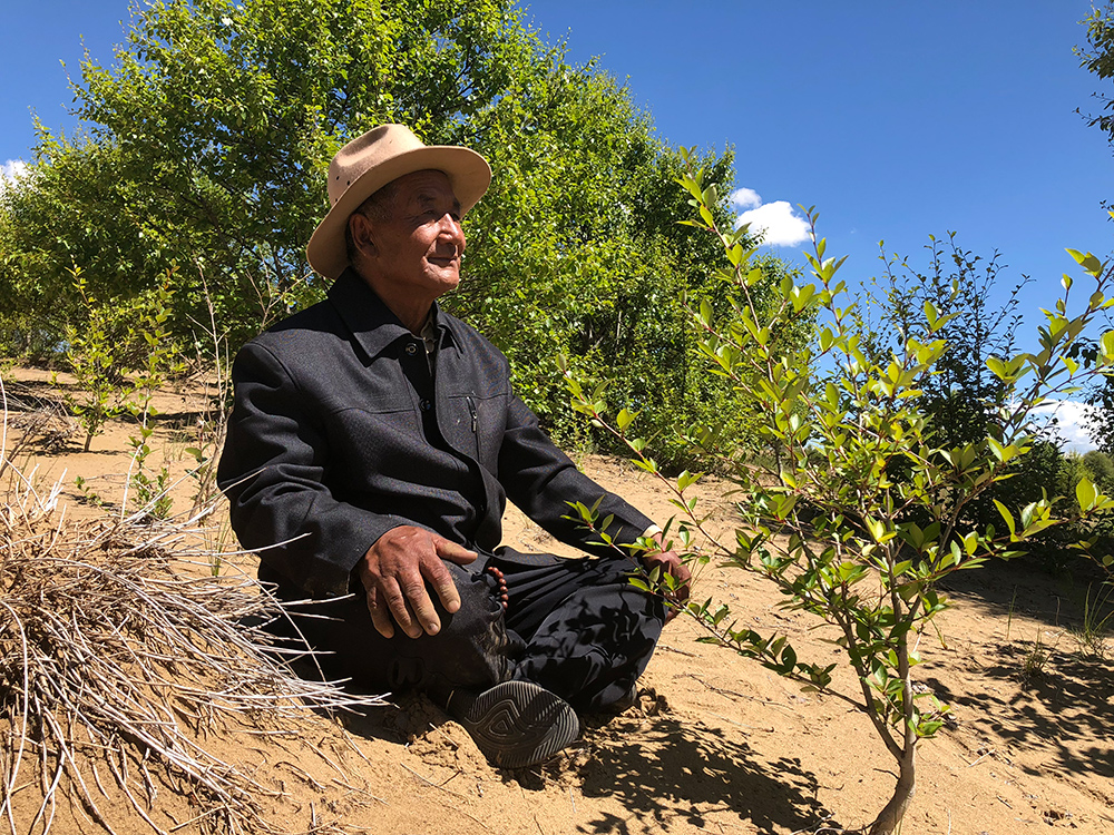 1533952049364473.jpeg WechatIMG517.jpeg