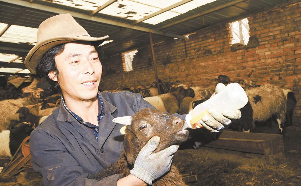 1611277766125546.jpg 2.jpg