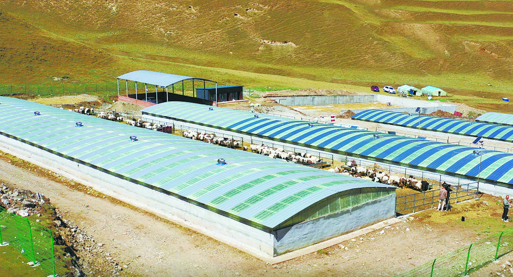 1652664735471264.jpg 01.jpg