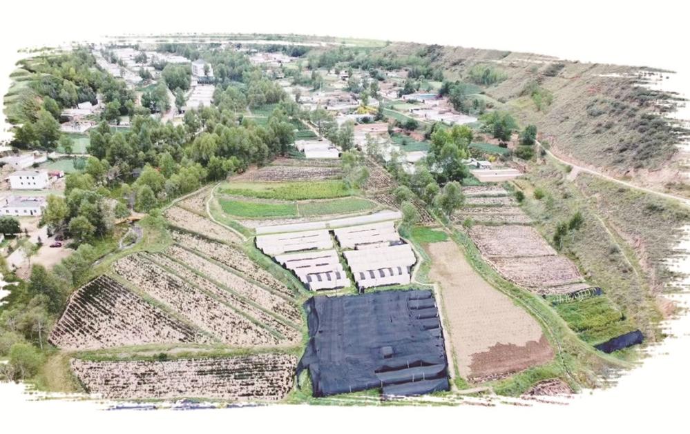 1652836402352739.jpg 01.jpg