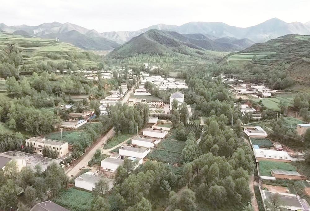 1652836418266791.jpg 2.jpg