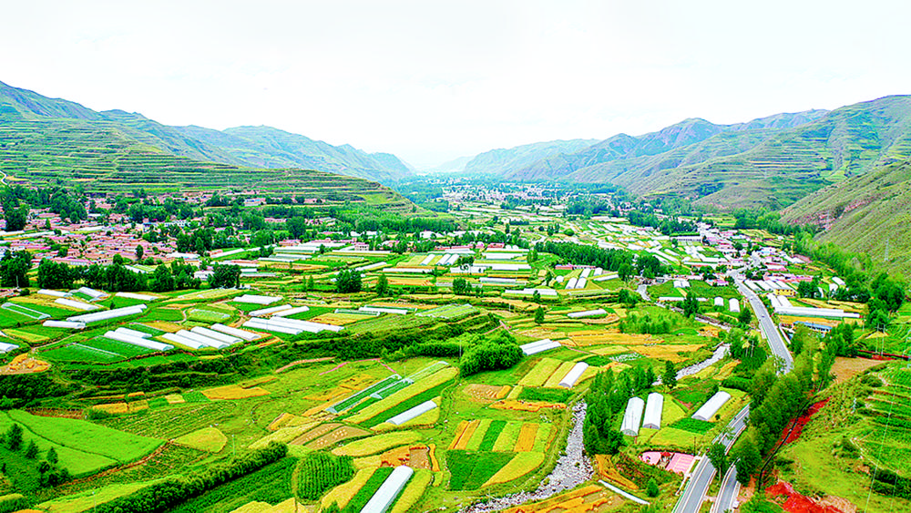 1654302383220085.jpg 1.jpg