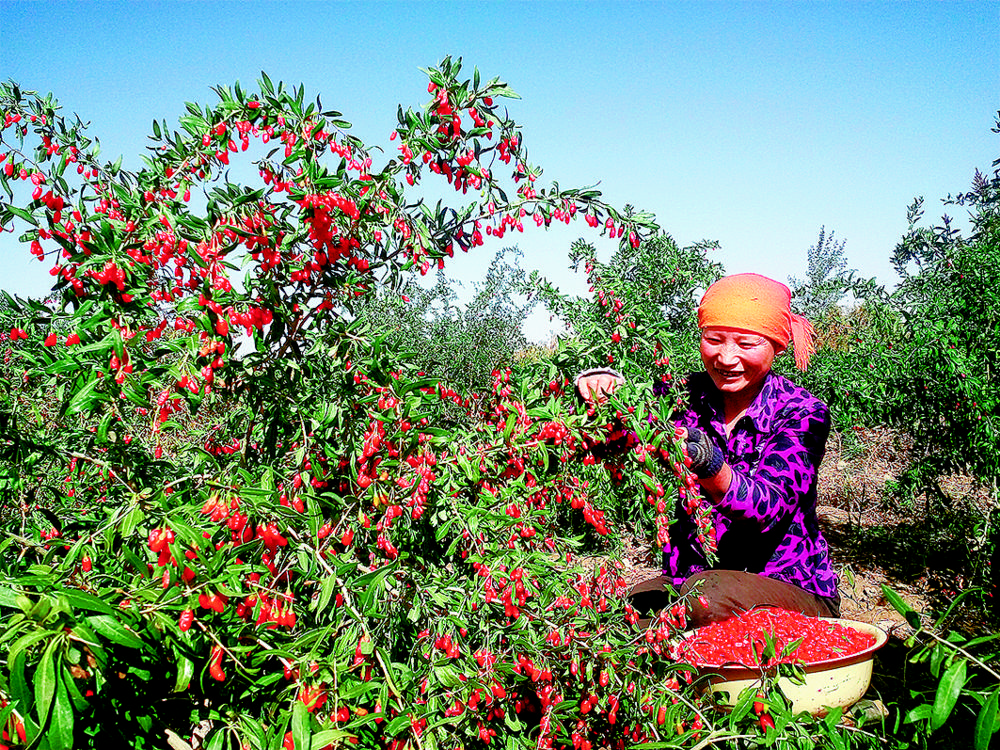 1654302409103864.jpg 4.jpg