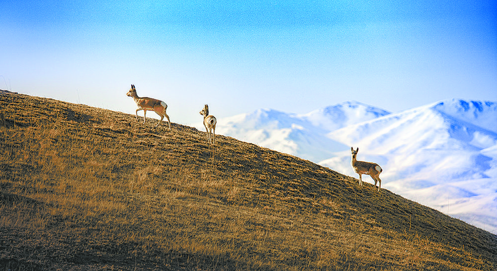 1654563692960205.jpg 2.jpg