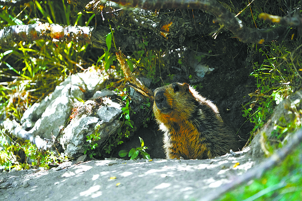 1654563708210469.jpg 4.jpg