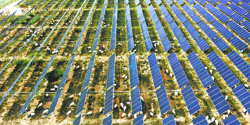 1654563716544839.jpg 5.jpg