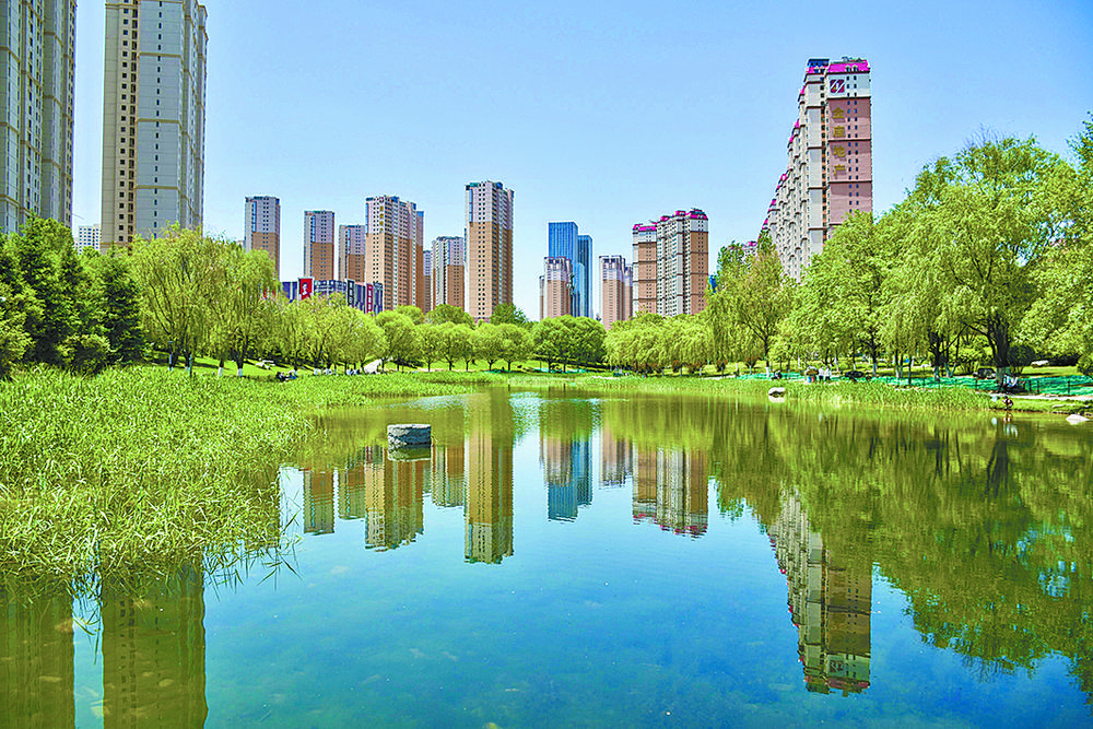 1654563723157362.jpg 6.jpg