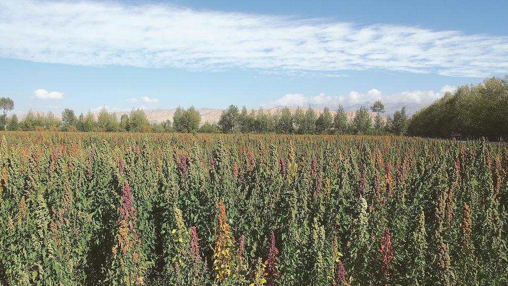 1654567717168878.jpg 1.jpg