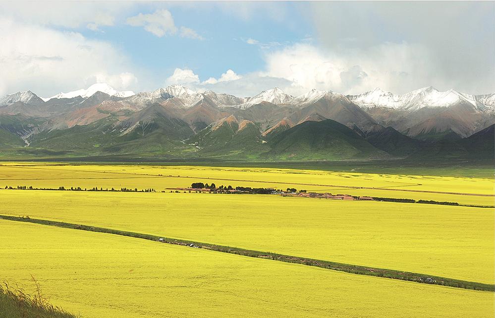 1654567723668300.jpg 2.jpg