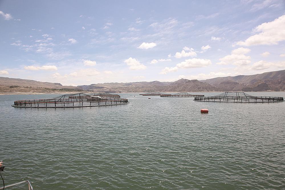 1654567730625599.jpg 3.jpg