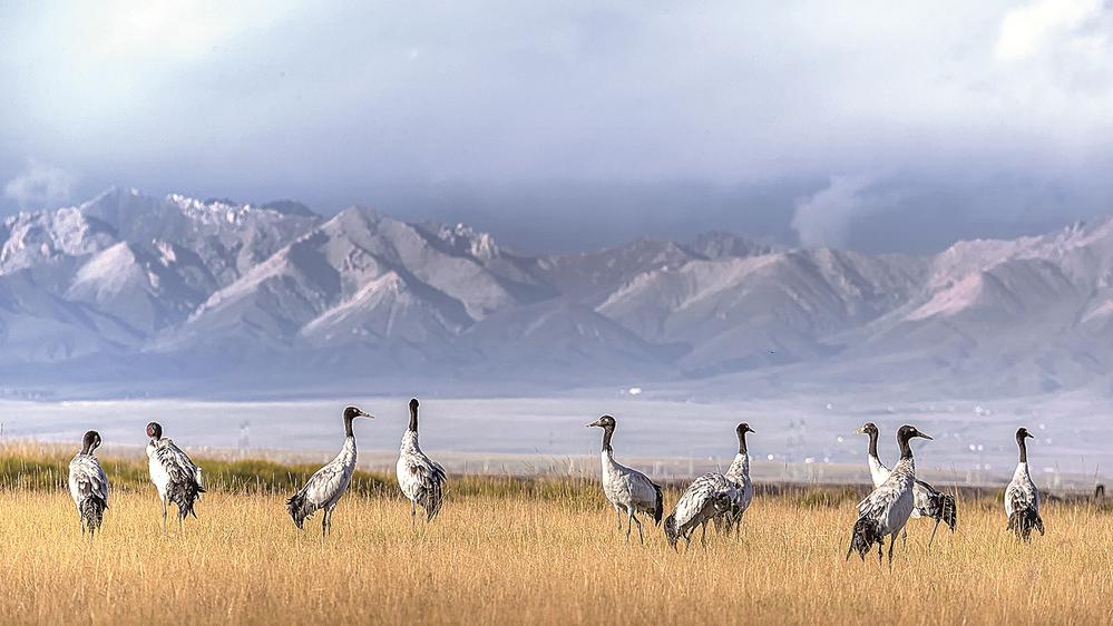 1654567876232032.jpg 1.jpg