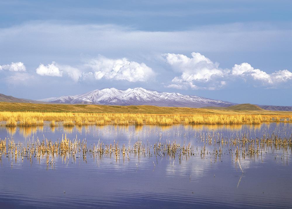 1654567904391819.jpg 4.jpg