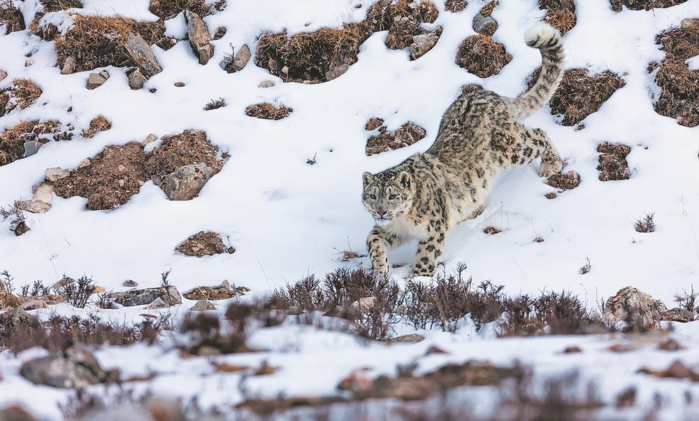 1654568010152698.jpg 1.jpg