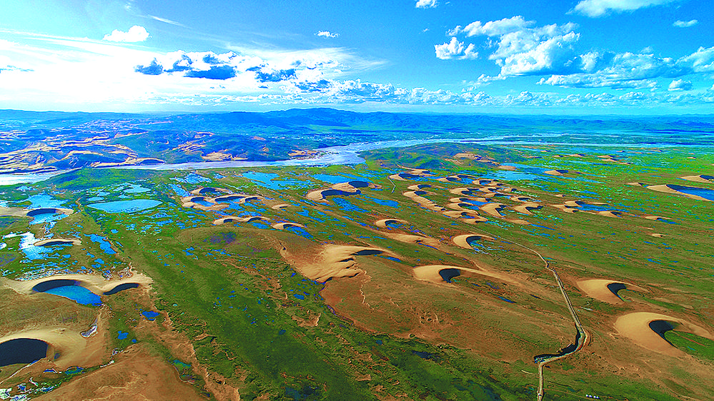 1654651301832101.jpg 1.jpg