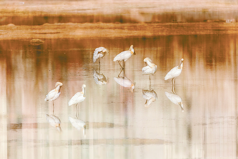 1654651307254853.jpg 2.jpg