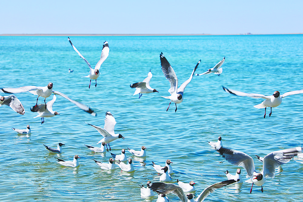 1654651313621803.jpg 3.jpg