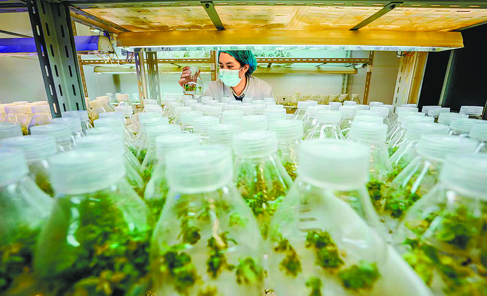 1654651981560175.jpg 6.jpg