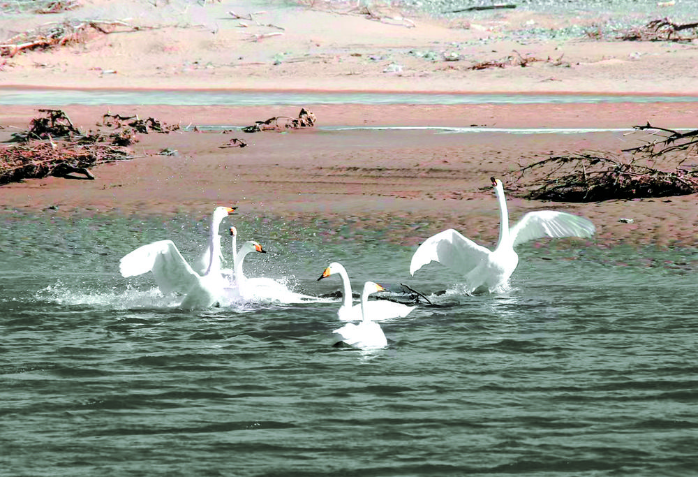 1702603858589326.jpg 2.jpg