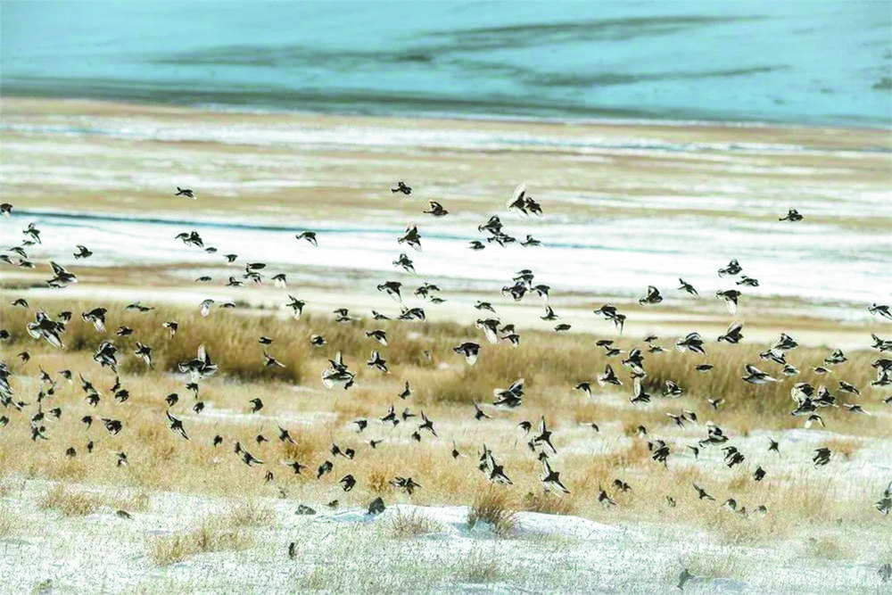 1702862890267260.jpg 1.jpg