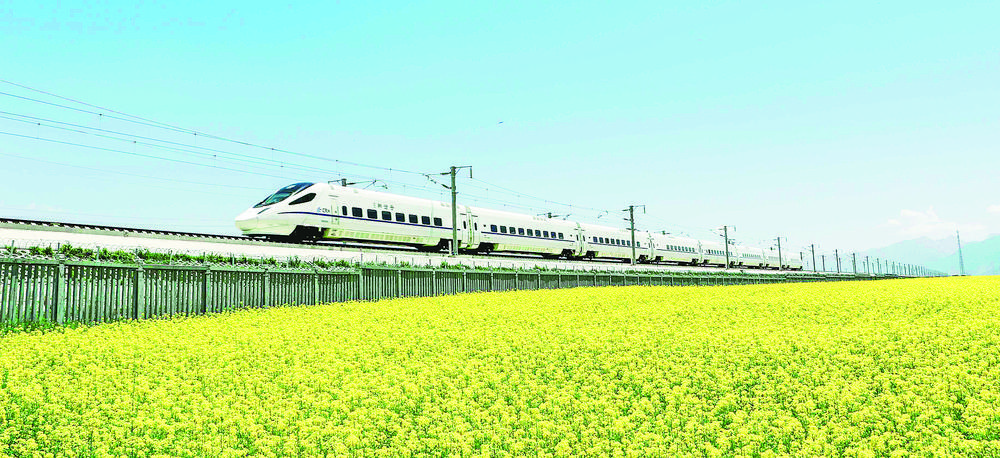 1705890221941018.jpg 2.jpg