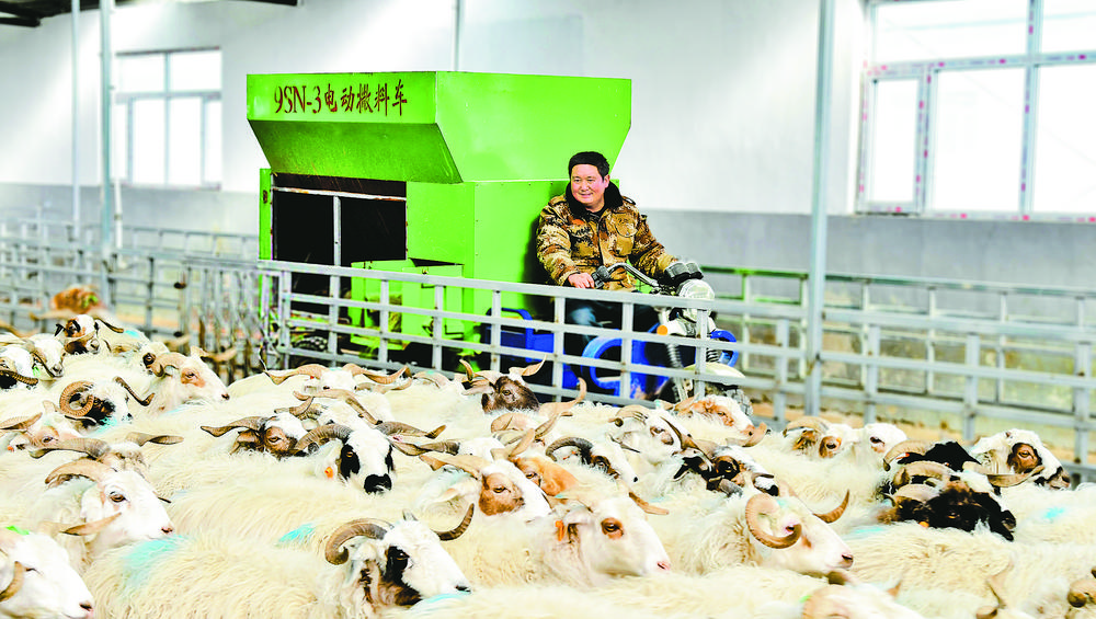 1705890241285621.jpg 5.jpg