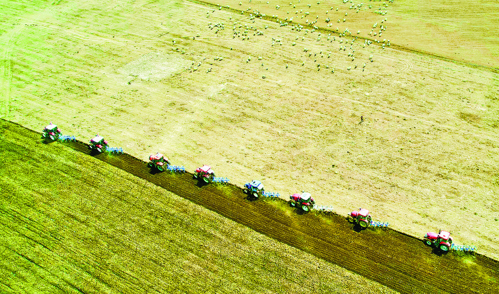 1705890248885772.jpg 6.jpg