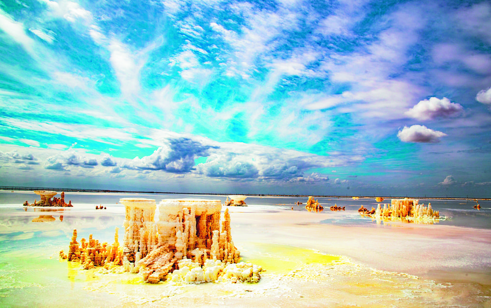 1705890275348071.jpg 10.jpg