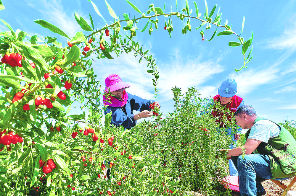 1706233867702122.jpg 1.jpg