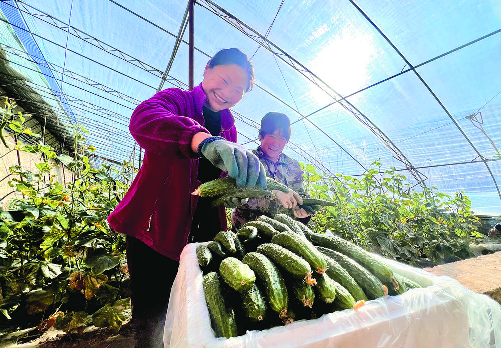 1706405228173791.jpg 31f26c44-cd31-4ccc-972f-e756d8623e51.tif.jpg