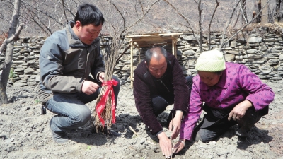 res01_attpic_brief (5).jpg