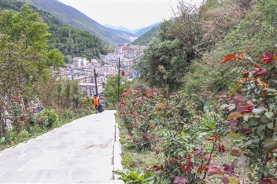 res01_attpic_brief (3).jpg