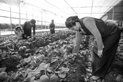 res01_attpic_brief (5).jpg