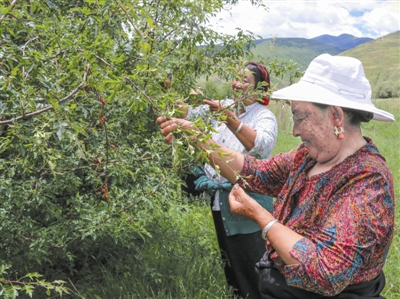 1464228967506620.jpg res04_attpic_brief (4).jpg