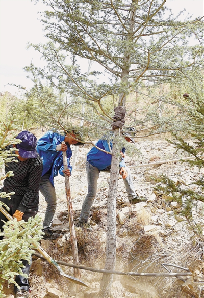 res01_attpic_brief (1).jpg