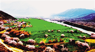 1461286277118613.jpg res01_attpic_brief (2).jpg