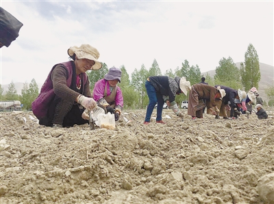 res04_attpic_brief (2).jpg