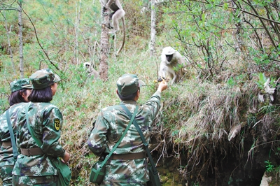 1463275413259522.jpg res01_attpic_brief (1).jpg